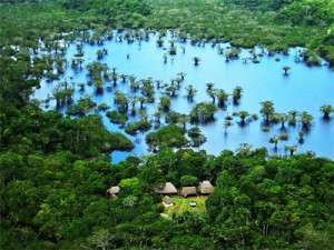 amazonreserve