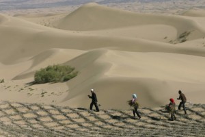 desertification-china
